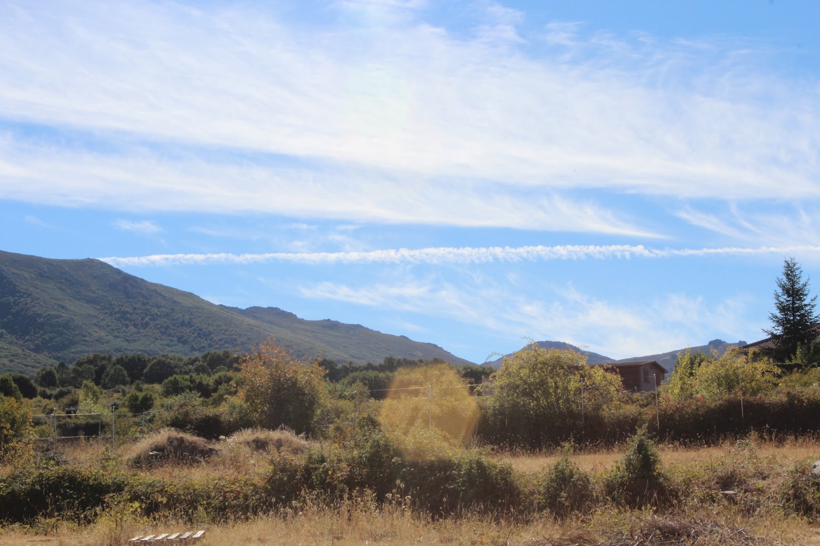 Historia y Genealogía Riofrío de Riaza. Segovia