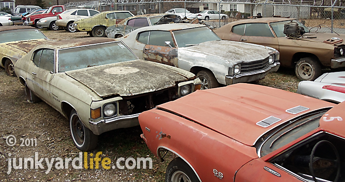 Junkyard Life Classic Cars Muscle Cars Barn Finds Hot
