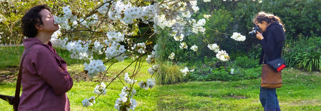 O Jardim de Ninfa giu tina - O Jardim de Ninfa