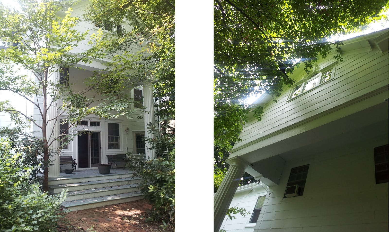 APE SHALL NOT KILL APE Doctor Elliott's Amazing House Delafield Place