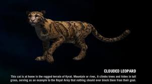 Hello USA: far cry 4 snow leopard