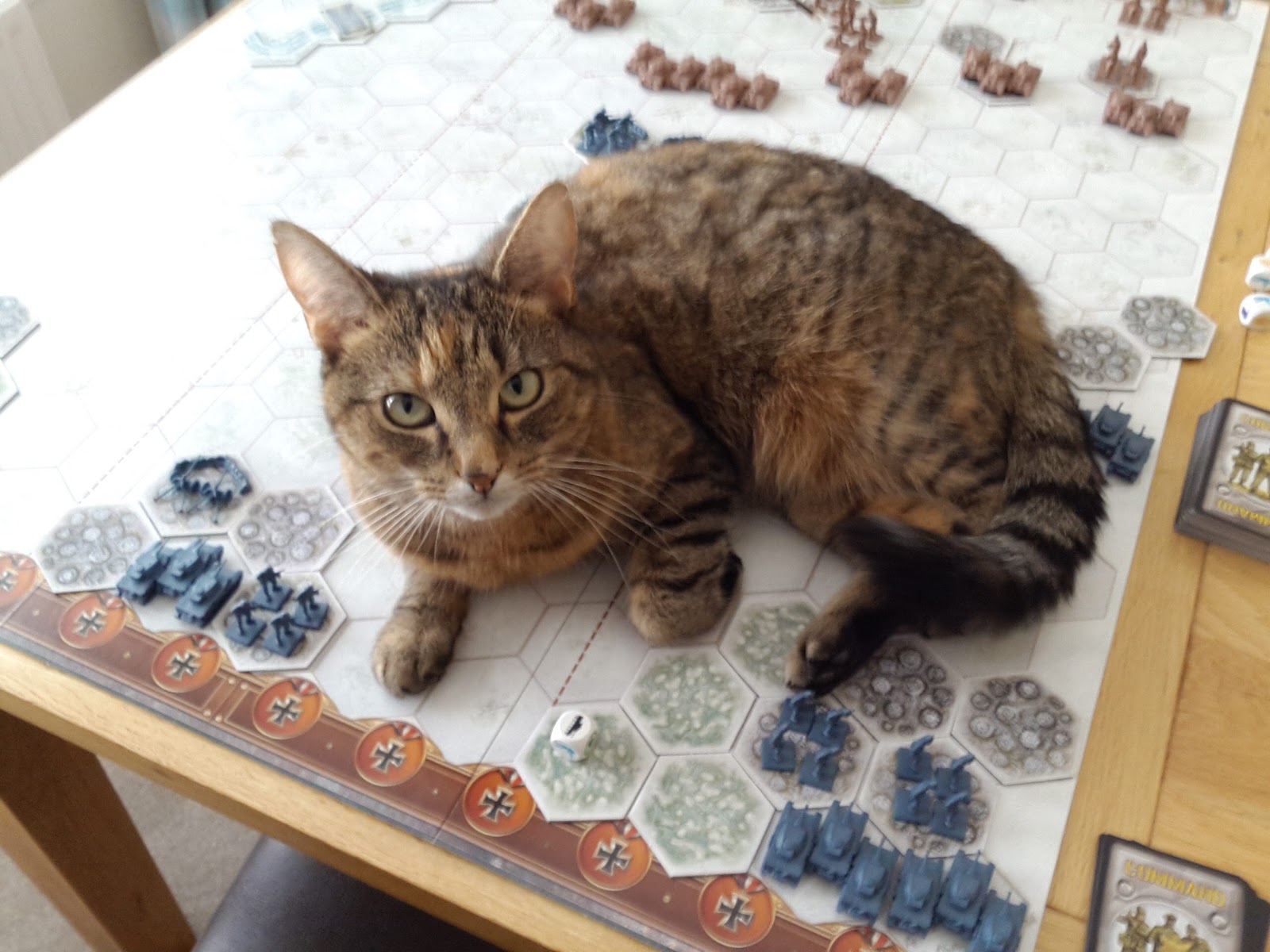 Keeping a Cat Off a Board Game