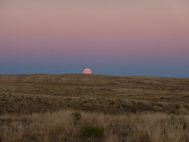 Pink Moonrise Mongolia 
