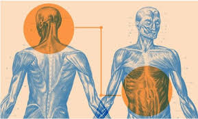 Guncel Bir Arastirma Otizm Ve Bagirsak Iliskisi