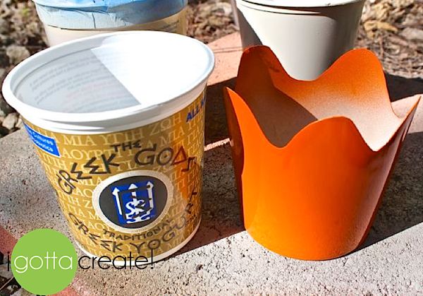 Joining this reusable planter train. Plastic yogurt cups plant