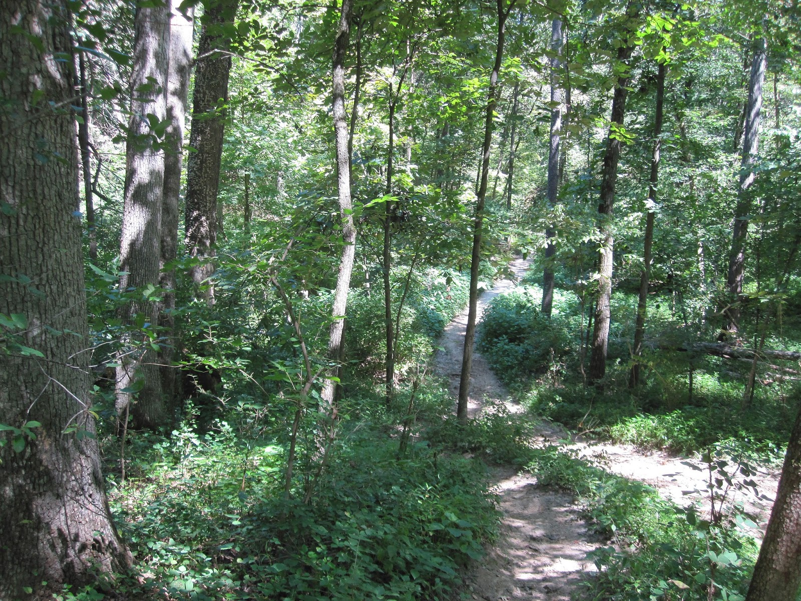 My futile pursuit of a last sub3 hour marathon, 43 years after the