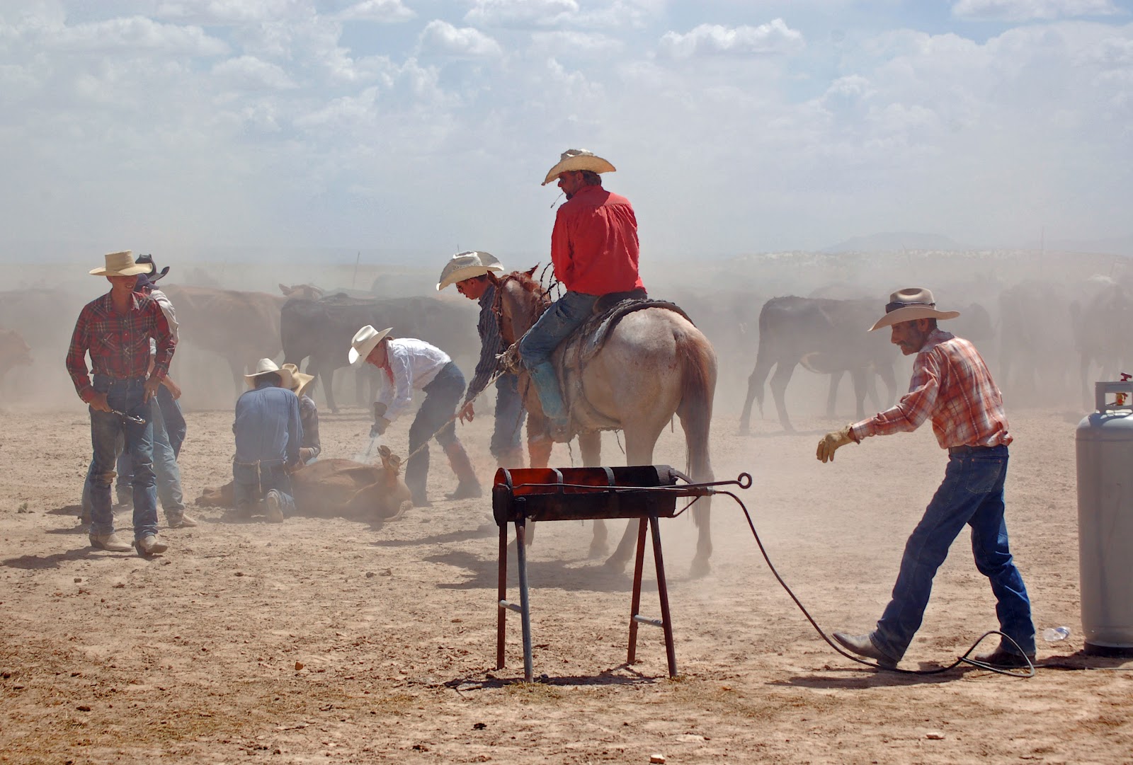Texas Mountain Trail Daily Photo: Dell City Ranching