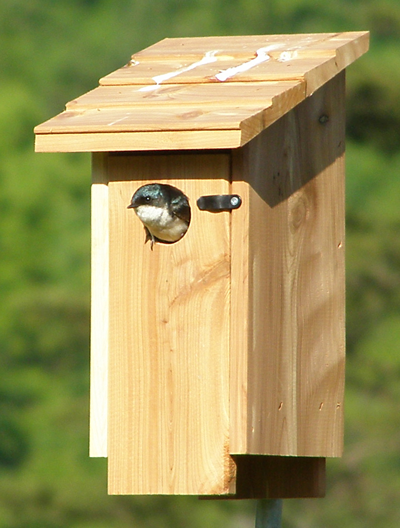 How To Build And Install A Simple Nest Box Farm And Dairy