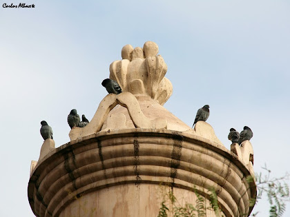 El coronament de la Torre d'Aigües del carrer de Cartellà. Autor: Carlos Albacete