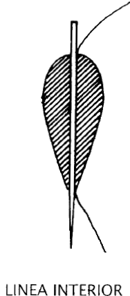 Adictos a pescar - Todo sobre la pesca