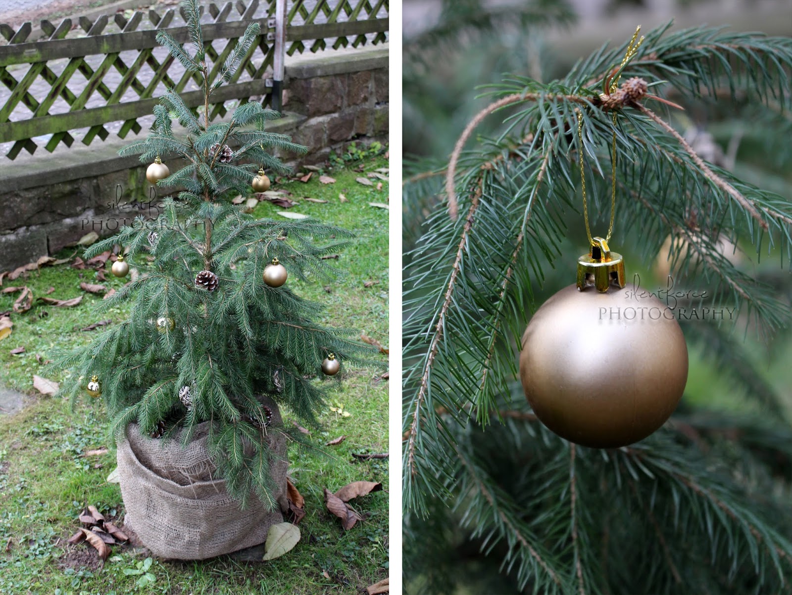 Weihnachtlicher Garten / silentforce garden Weihnachtlicher Garten / silentforce garden