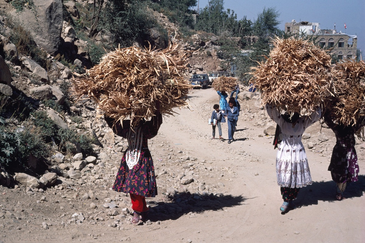 Philip Grover Writer Photographer Curator Embroidered Visions