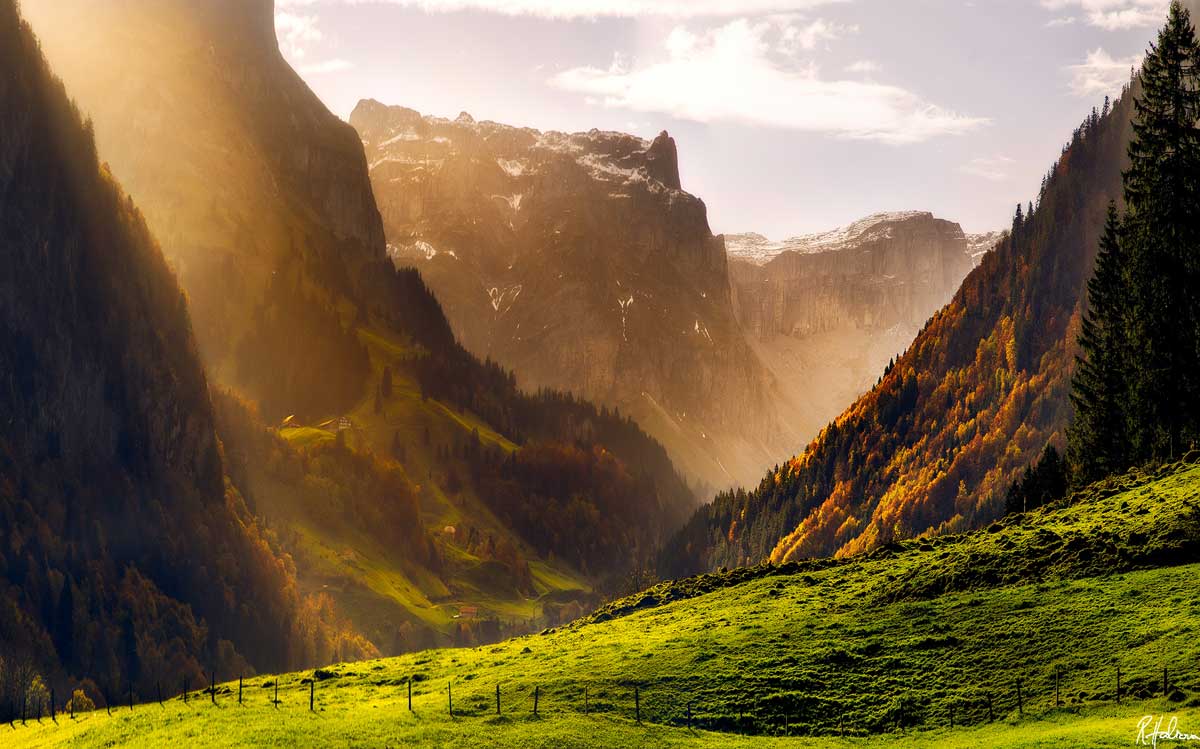 Swiss alpler