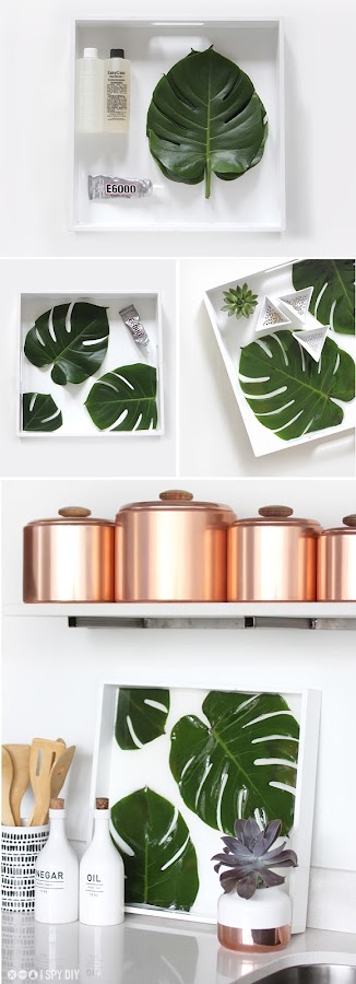 Bandeja diy con monstera