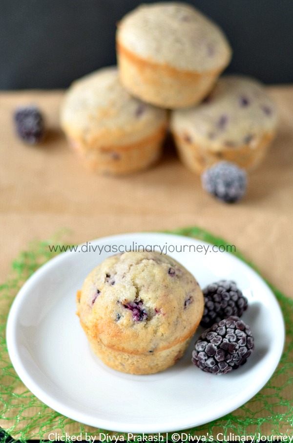 blackberry yogurt muffins