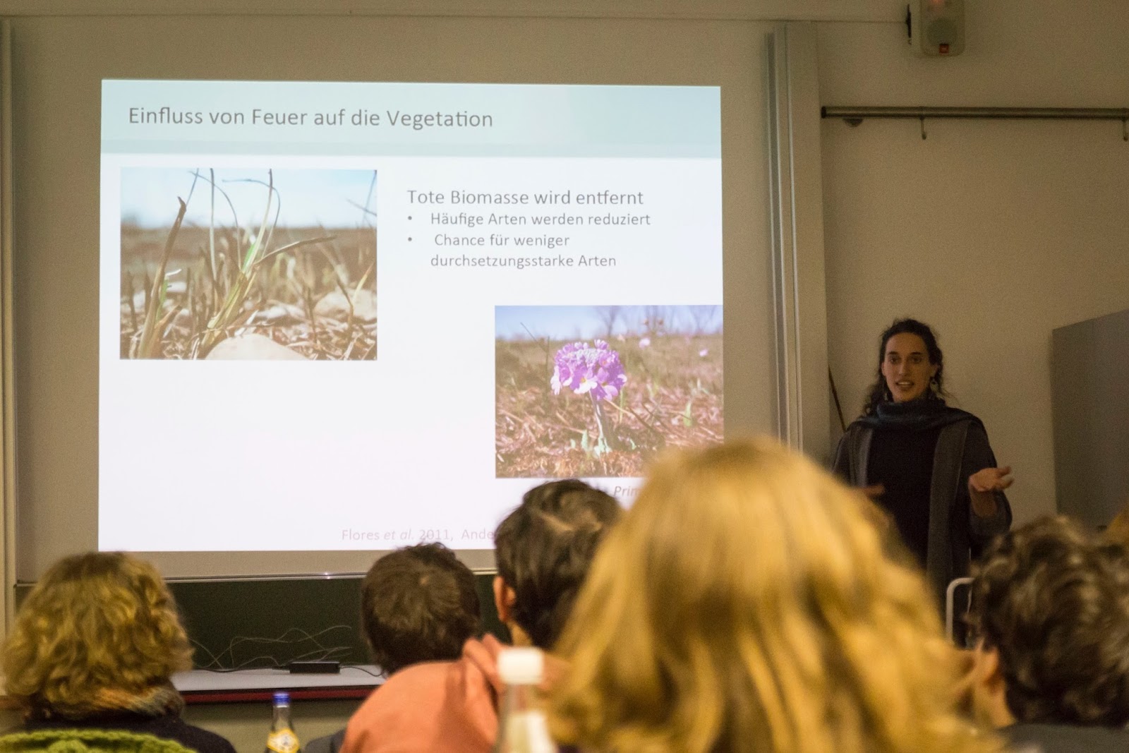 Amur Bird Project 2016