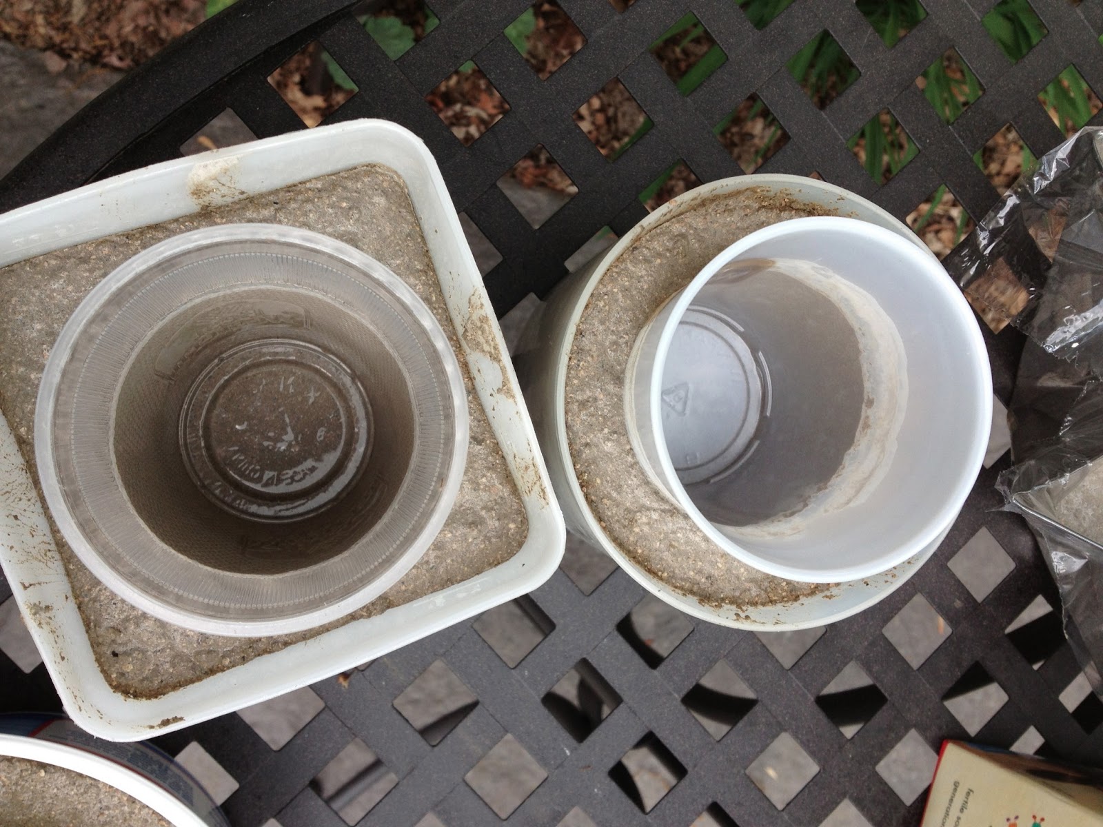 Viva Cindy DIY Cement Planters