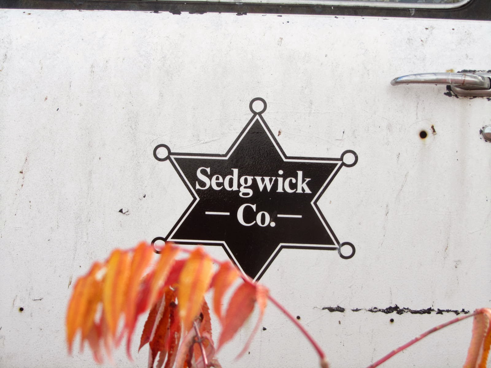autoliterate Sedgwick County Sheriff's 1949 Ford. Salvage Yard, Wichita KS