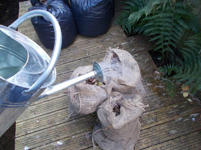 How to make leaf mould The Green Fingered Blog