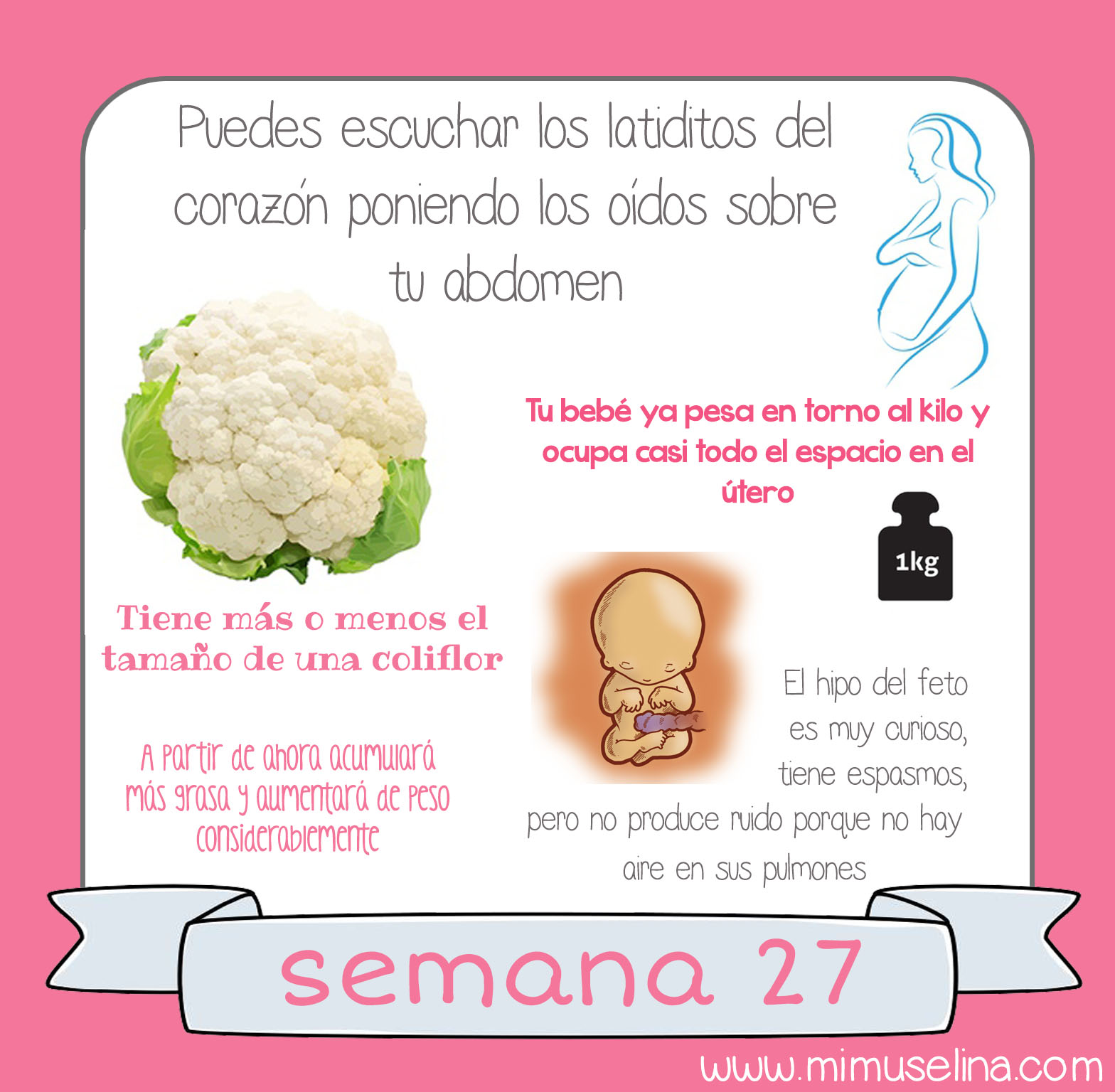 Peso embarazo semana 27