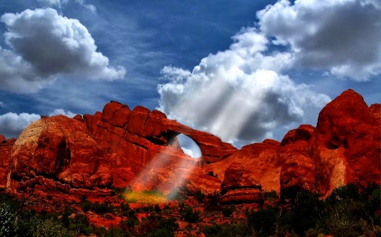 TISOTIT: Random Nature Photos