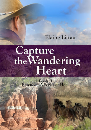Capture the Wandering Heart