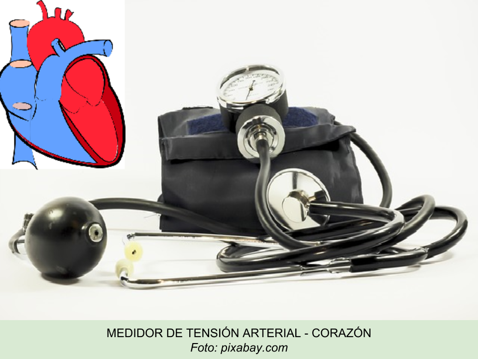 ¿Por dónde empezar con caracteristicas de la hipertensión arterial?