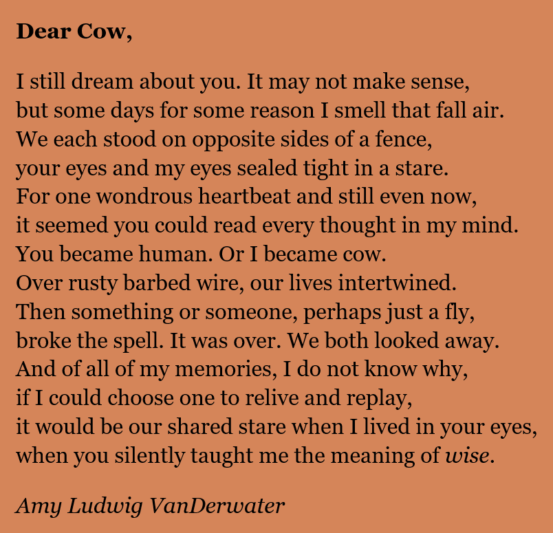 👍 How to write a letter poem. Sample Cover Letters for Poetry