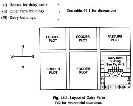 Model Layouts Of Dairy Farms Of Various Sizes From Dairy Farm Guide ...
