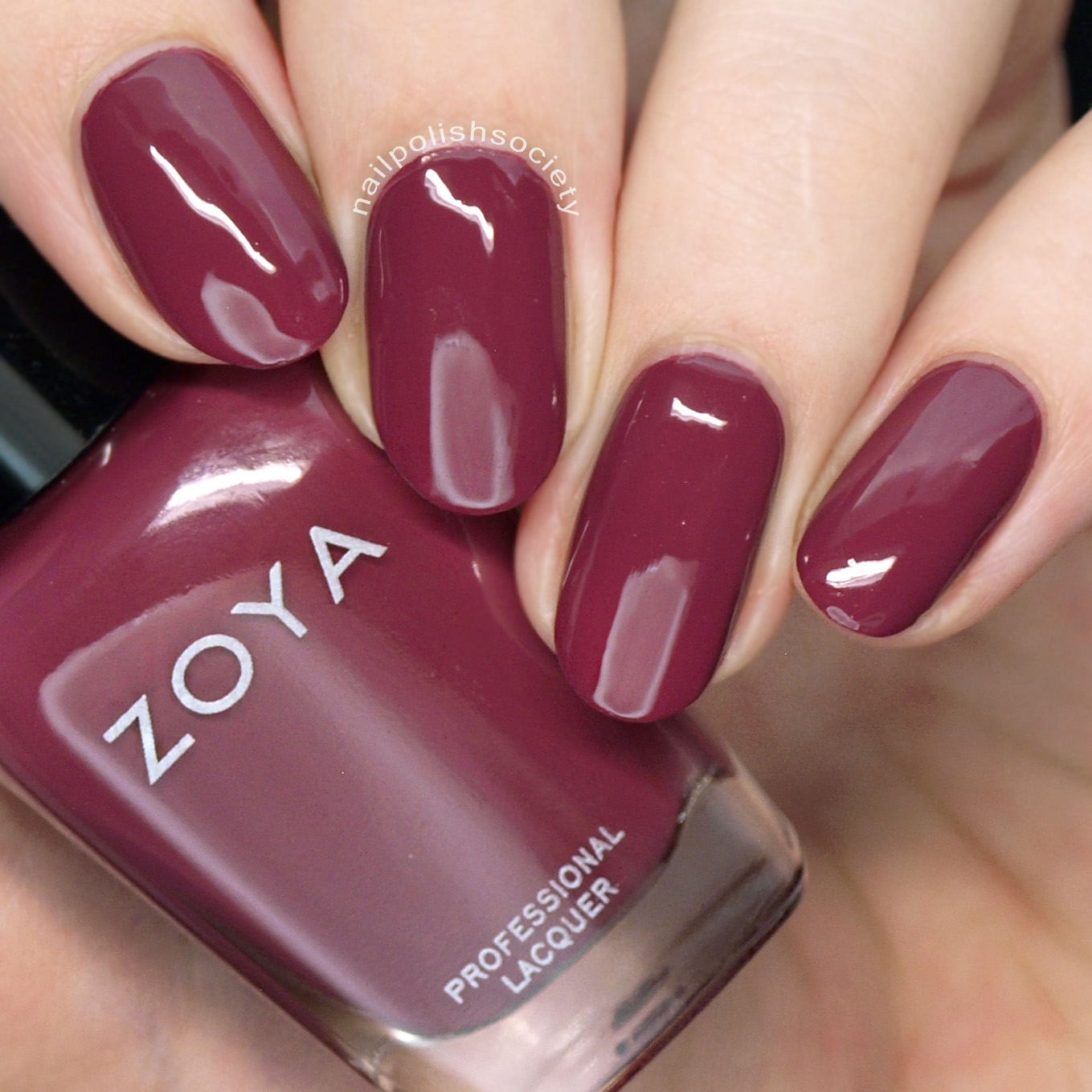 Nail Polish Society Zoya Element Fall 2018 Collection