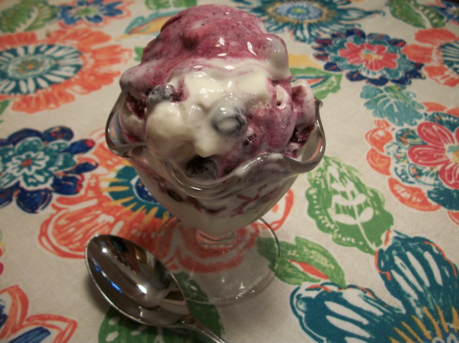 Cook with Sara Blueberry Pancake Ice Cream