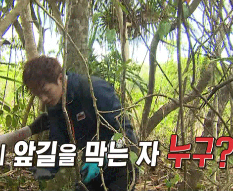 어제 서강준 정글의 법칙 자막 | 인스티즈