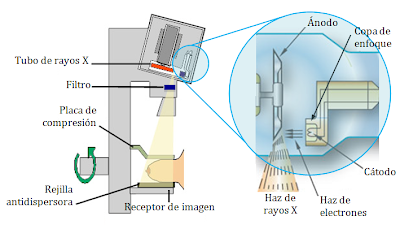 https://www.google.com.mx/url?sa=i&rct=j&q=&esrc=s&source=images&cd=&cad=rja&uact=8&ved=0ahUKEwi69en8gufVAhViylQKHYzkDpgQjRwIBw&url=http%3A%2F%2Fkingsarai123.blogspot.com%2F2015%2F11%2F&psig=AFQjCNFgfkfz7iIcMTGfZ-6A2-jLF0S4Mg&ust=1503360086567831 Resultado de imagen para Componentes del aparato de rayos X dental