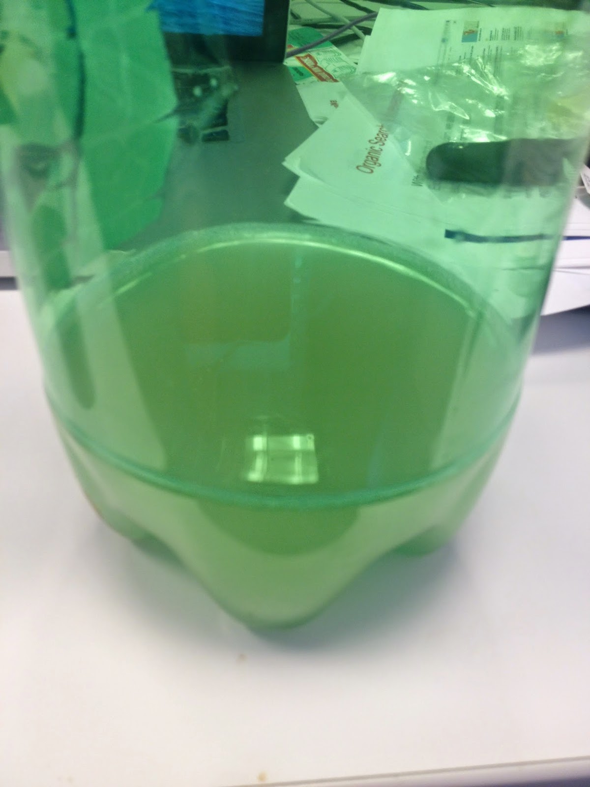 Turning To Gnatrol Bti Get Rid Of Fungus Gnats Once And For All To A Gallon Of Water And Drenched The Soil When You Mix Granules End Up With Basically Bottle Full Bacterial Gunk