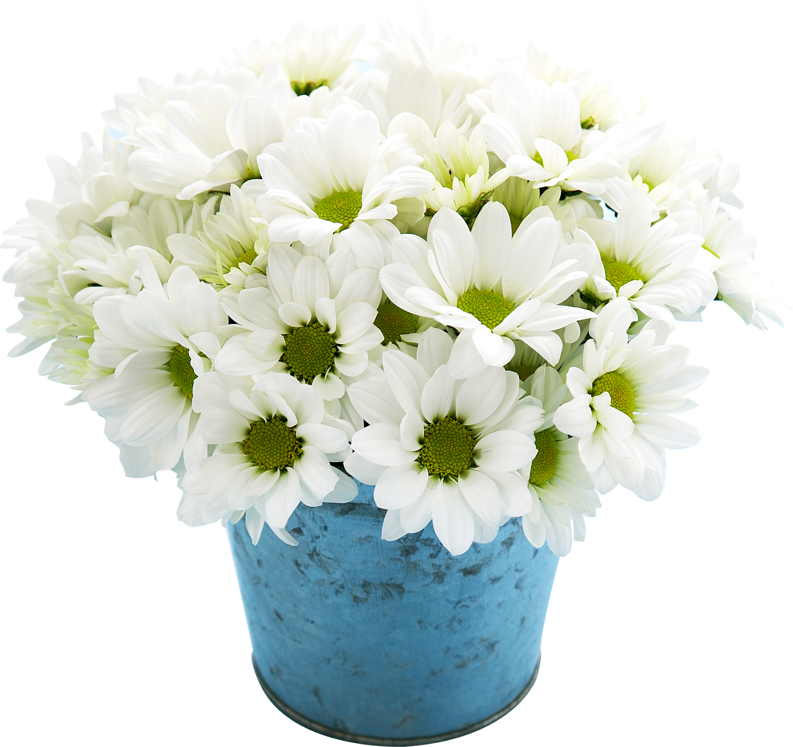 Buckets with flowers