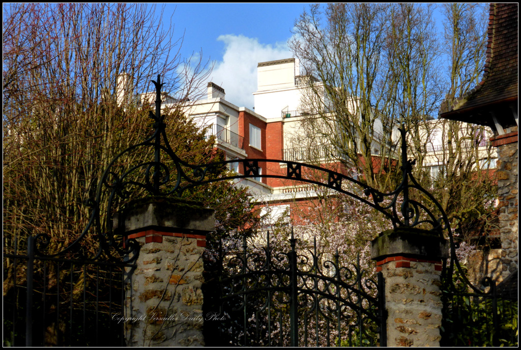 VersaillesDailyPhoto blog: Le portail, l'arbre en fleurs et les jonquilles