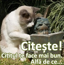 Citeste!