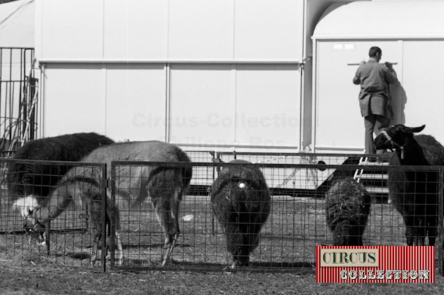 Zoo du Cirque National Suisse Knie  1970