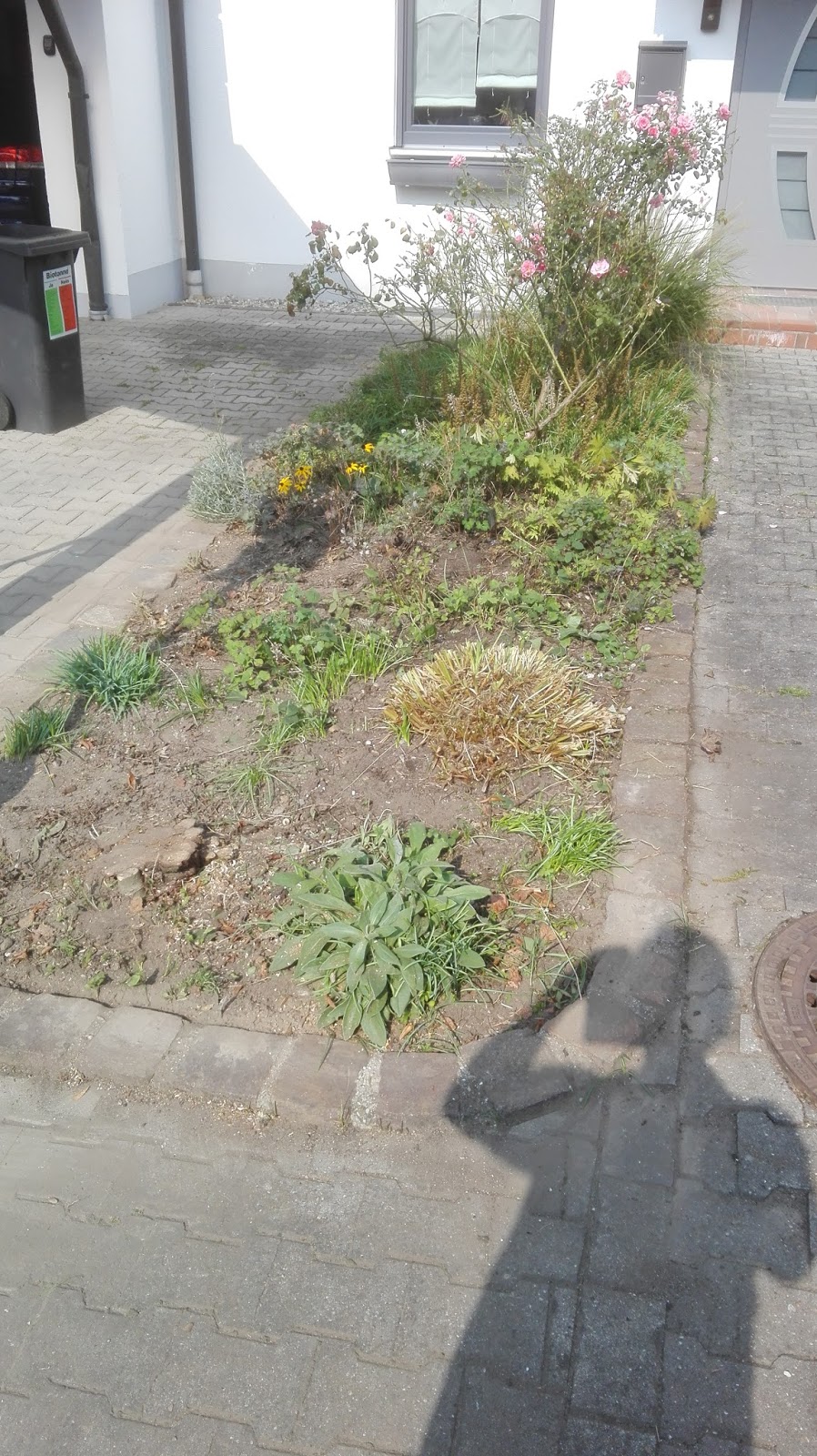 Praxisjahr 2016 17 Mona Korn Mettenheim Deutschland September 2016