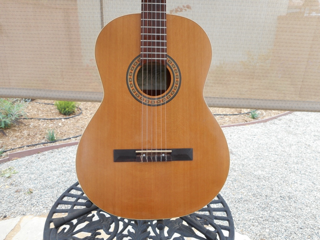 Rex and the Bass La Patrie Etude Acoustic Guitar Review
