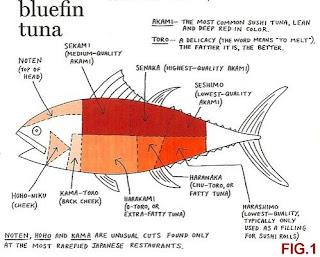 atun%2Brojo%2Bhi%252Cfig11 h