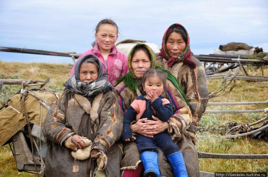 (ненцы, ханты, манси, селькупы. коренные народы ямало-ненецкого автономного. ямало-ненецкий автономный округ дети ненцы. ненцы и чукчи. ямало ненецкий автономный жители.