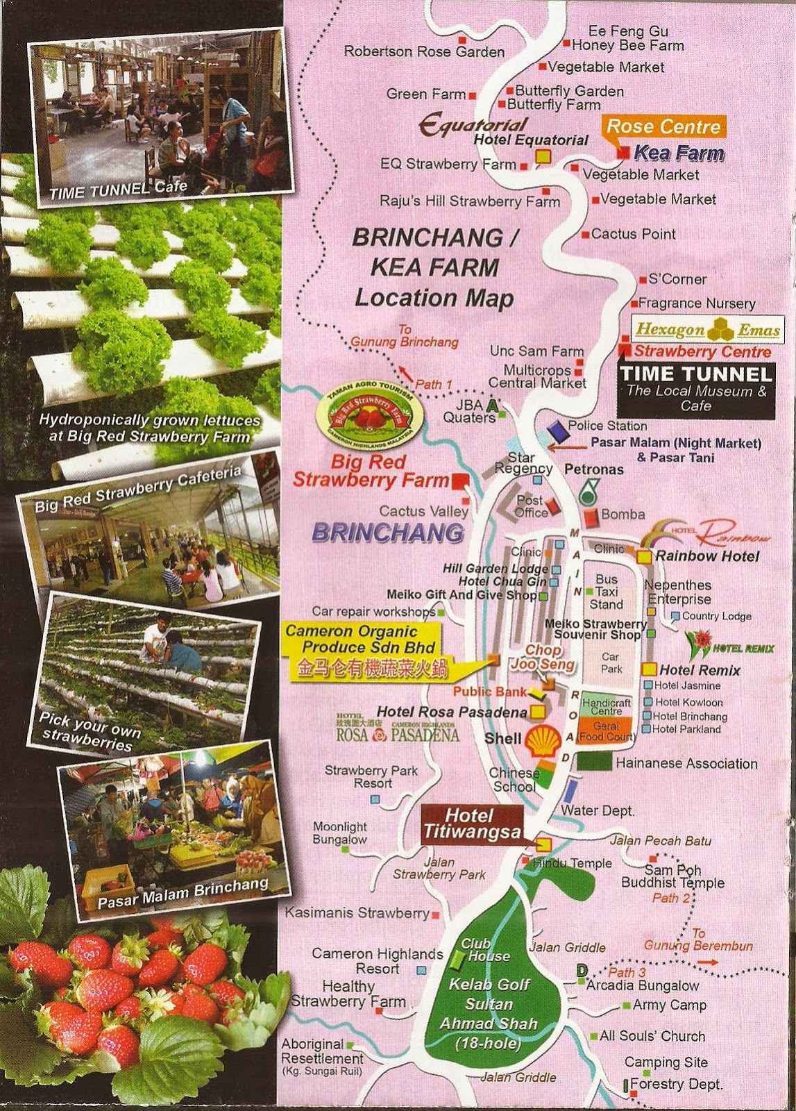 Brinchang Map 