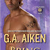 Romance Book Review: Bring on the Heat by G.A. Aiken