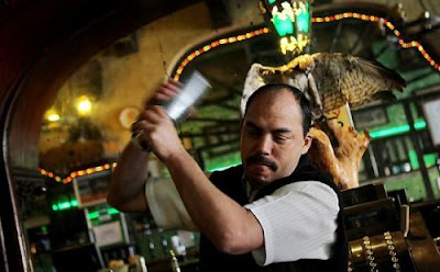 Barman Latinoamericano Cocktail