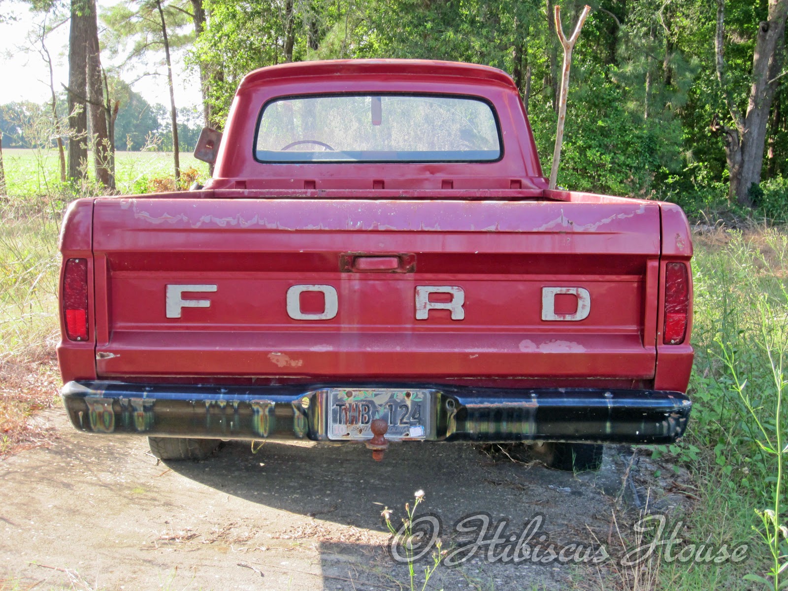 Old Ford Truck 6
