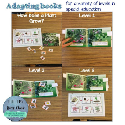 Adapting Books in Special Education