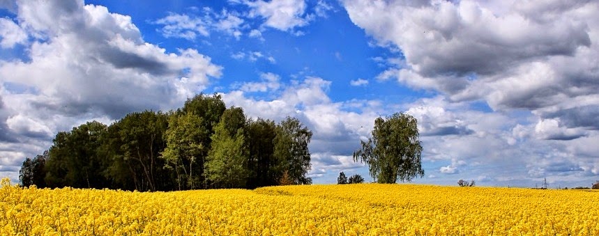 jezioro limajno, wichrowo, dobre miasto