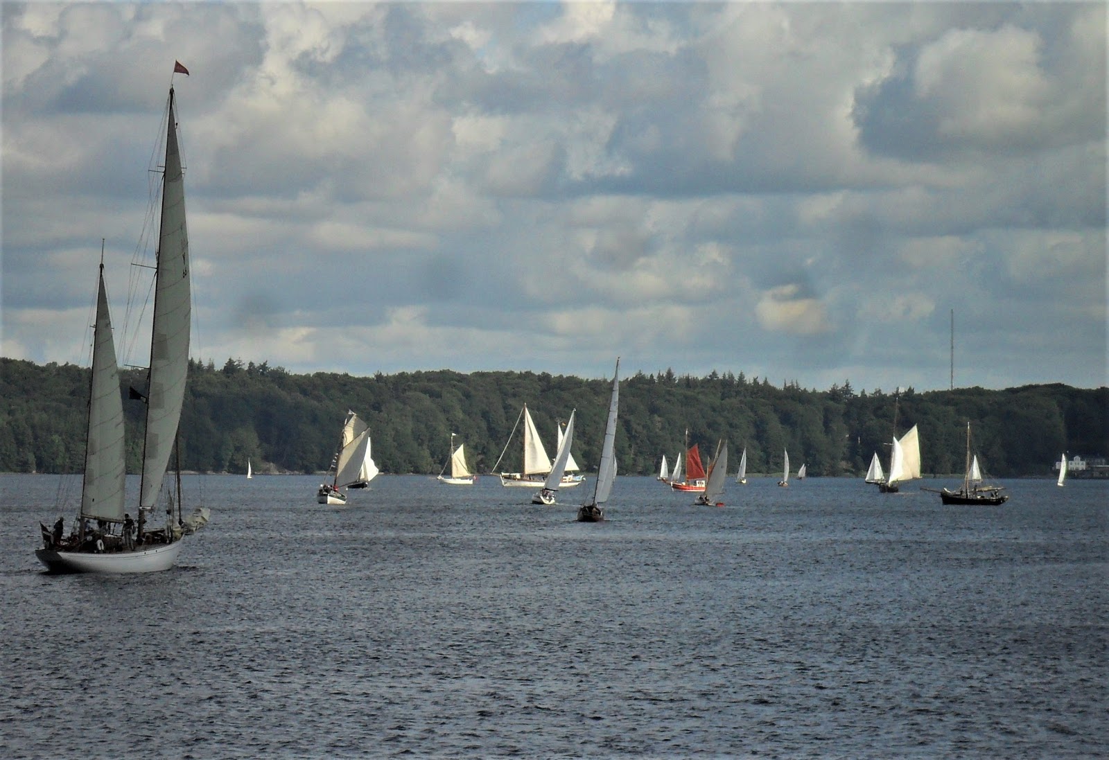 0381 Dein Stadtkulturmagazin Fur Rostock Und Umgebung Juli 2017