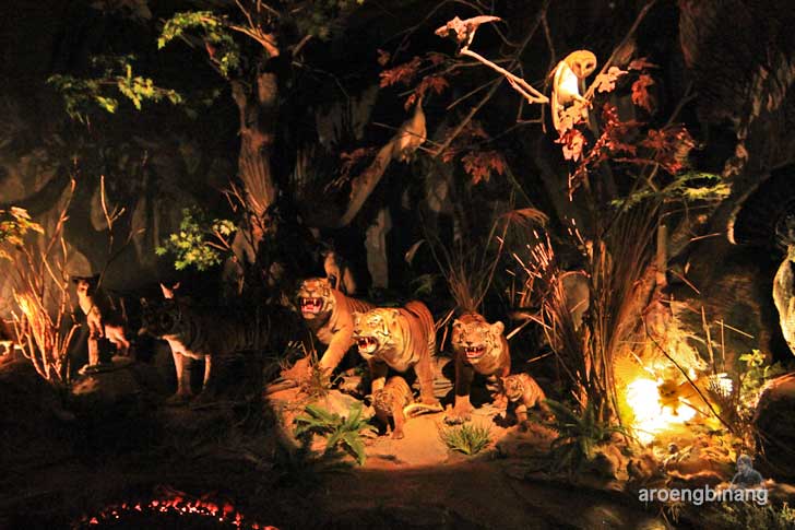 rahmat international wildlife museum gallery